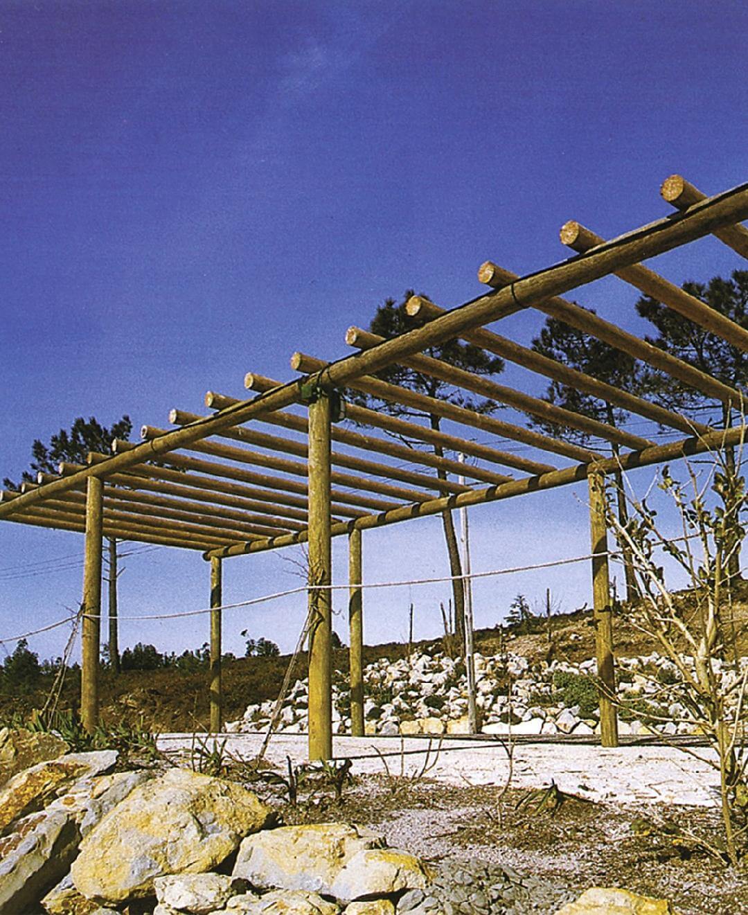 Pérgola de Madera Redonda