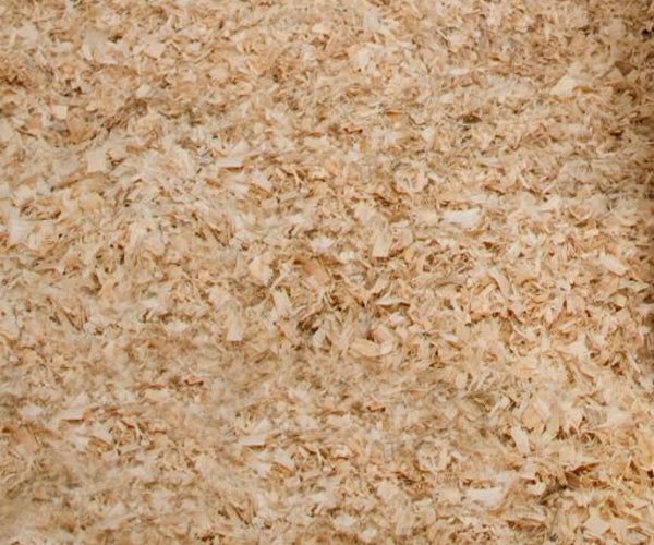 Aparas em madeira (outros animais)