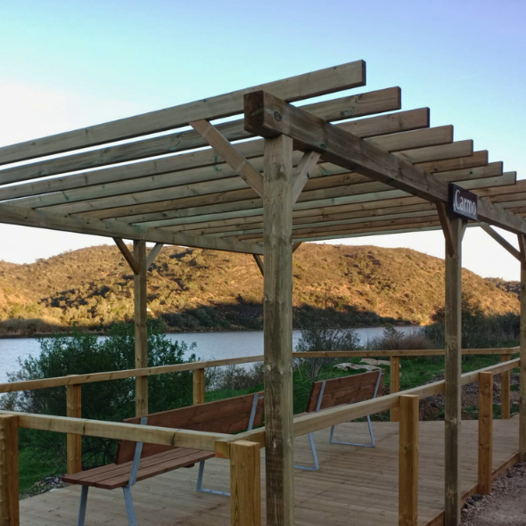 Bois scié Pin sylvestre traité