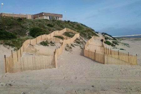 Regeneradores Dunares