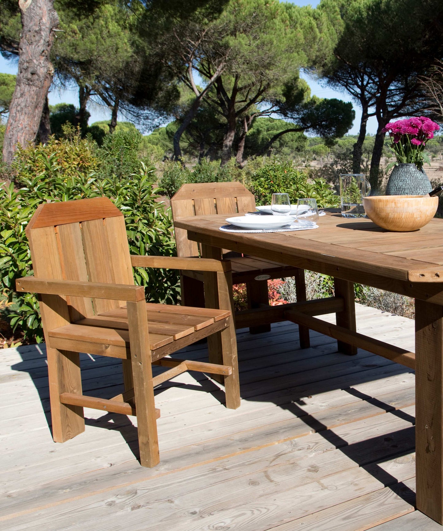 Cadeira Country C/ Braços