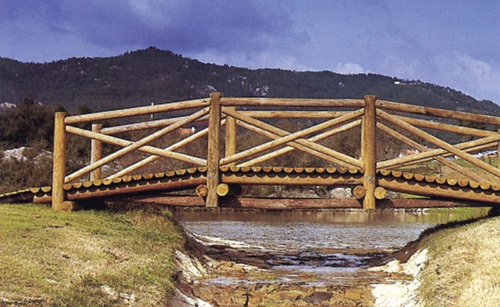 Bridge 6.00 X 2.00 M