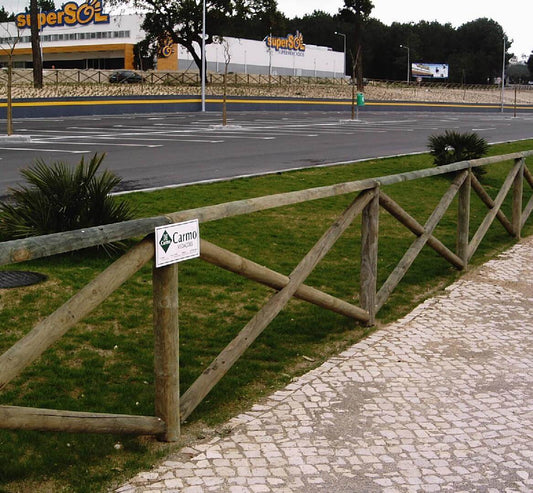 Texan Fencing