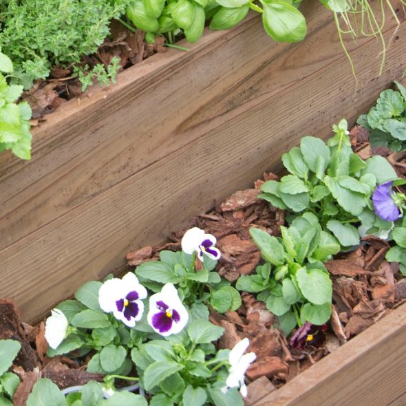 Decorative Pine Bark (Mulch)