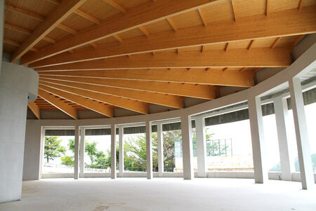 Structures and Coverings for Large Spaces in Wood