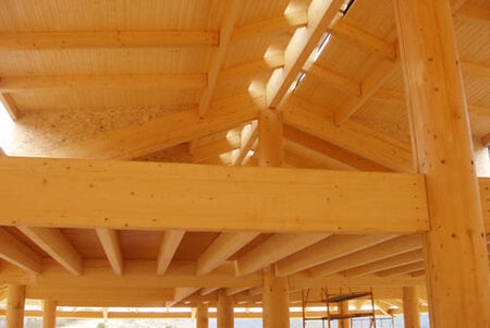 Structures and Coverings for Large Spaces in Wood