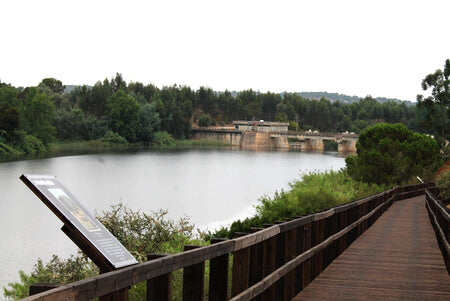 Wooden Bridges and Walkways