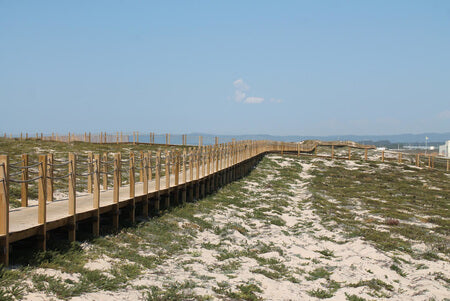 Wooden Bridges and Walkways