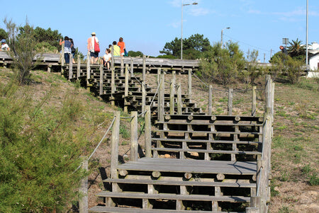 Wooden Bridges and Walkways