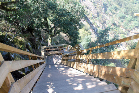 Wooden Bridges and Walkways