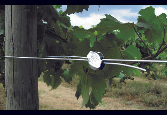 Vine Wiring