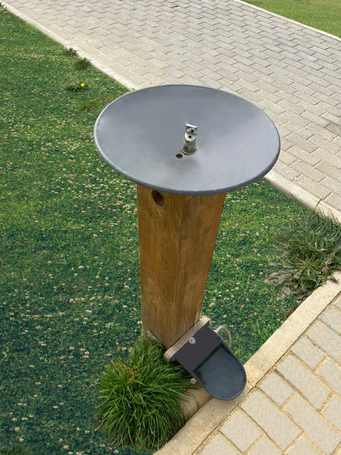Water Fountain with Canine Adapter
