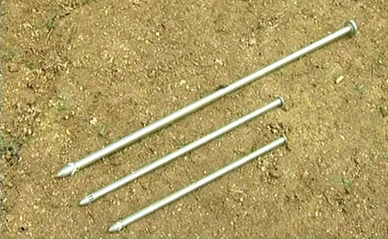 Fenox - Standard Straps