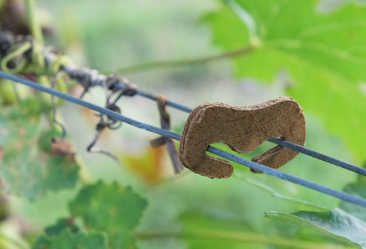 Fenox - Biodegradable Clip (5000 Units)