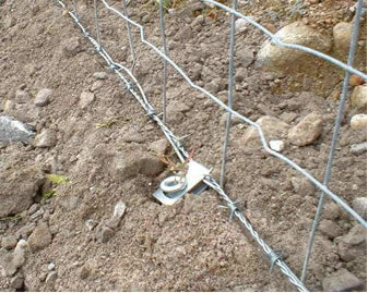 Fenox - Clip for Single Wire Network