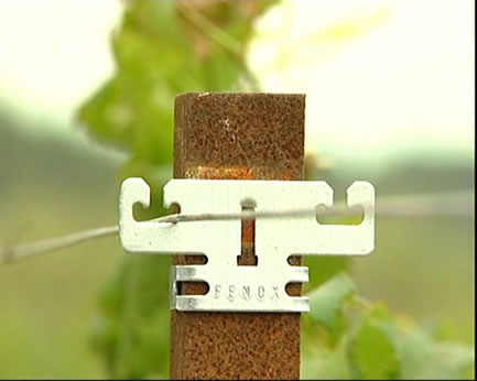 Fenox- Extensor Universal Misto