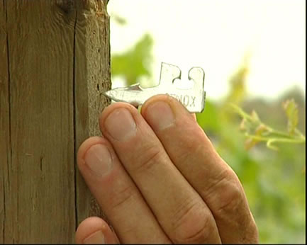 Fenox - Harpoon Clip (500 units)