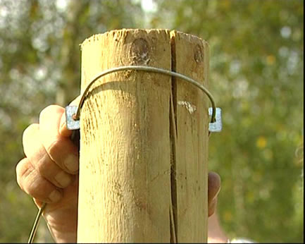 Fenox - Barbed Clamp