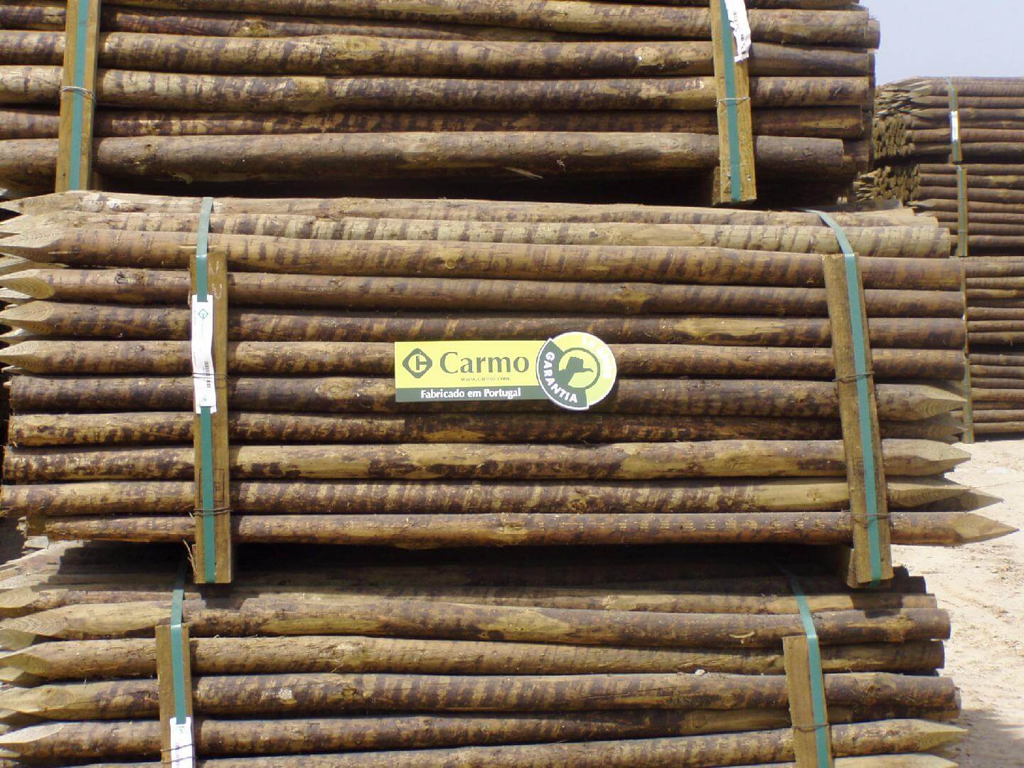 Treated Conical Posts