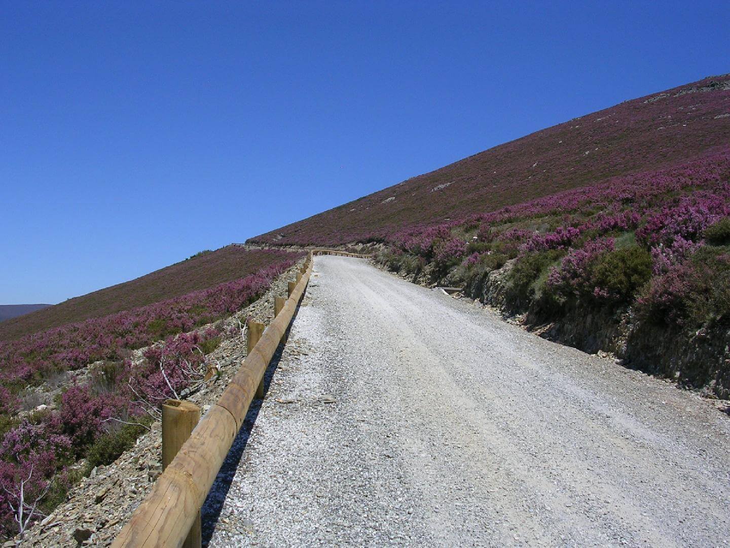 Rails De Proteção Em Madeira E Metal