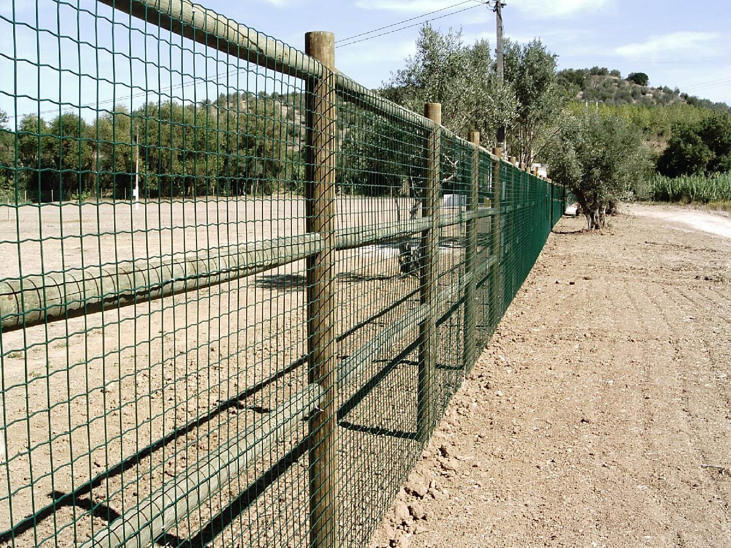 Rede Plastificada Forte