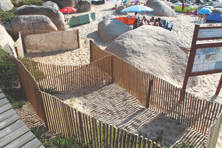 Regeneradores Dunares