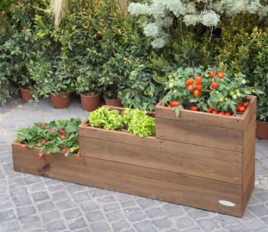 Potager urbain en terrasses