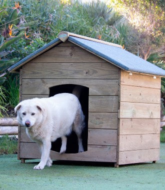 Large Dog Kennel